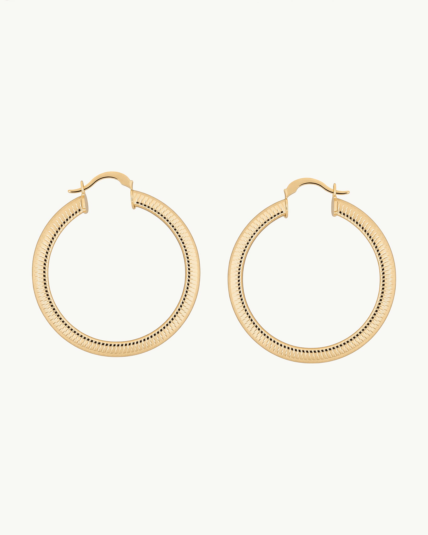Vita Ring Hoops 18K Gold Plated Earrings